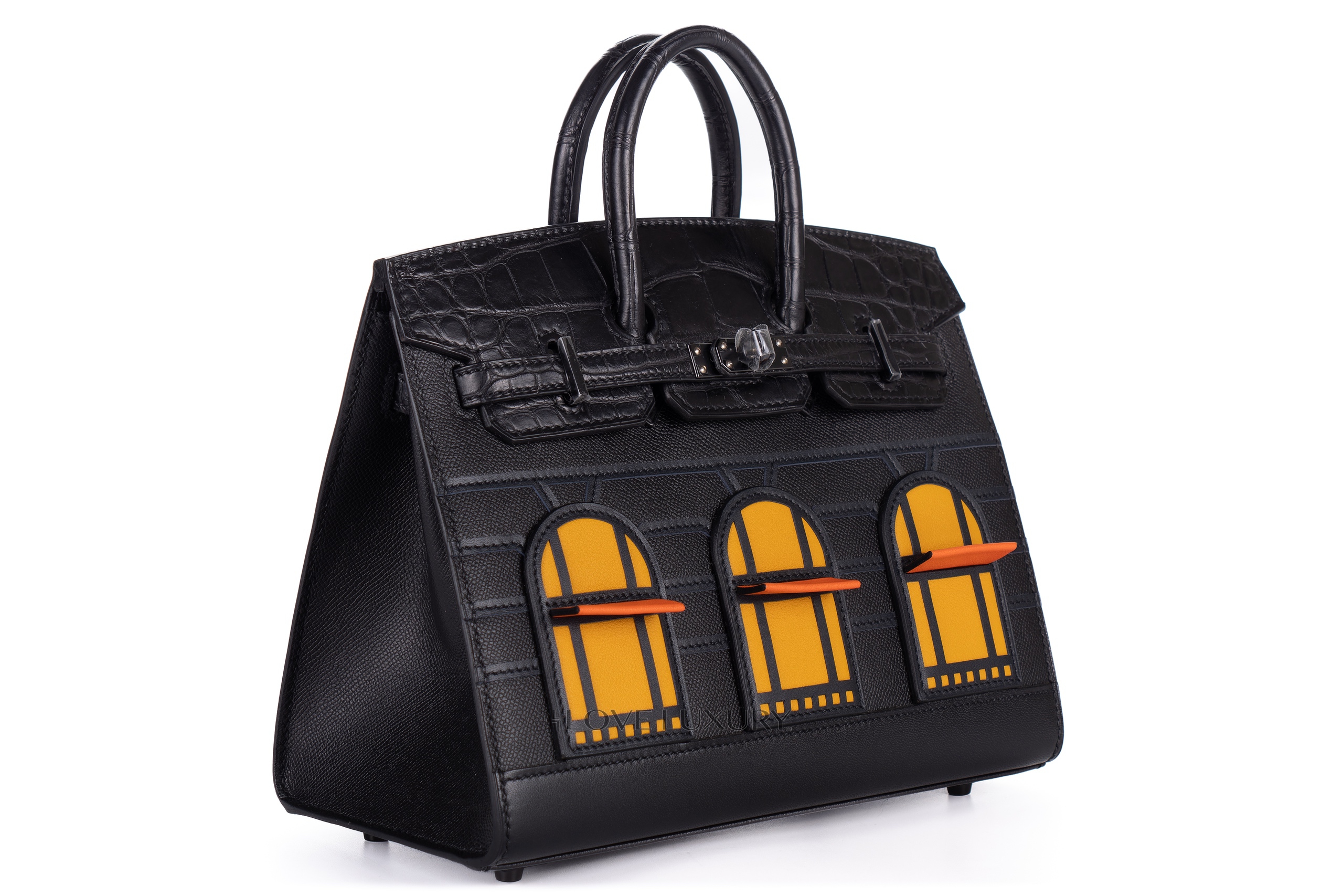 Hermès-Limited-Edition-Birkin-Faubourg-Sellier-20-Veau-Madame-Matte-Alligator-Sombrero-Epsom-and-Swift-Leather-Black-Matte-Hardware-2