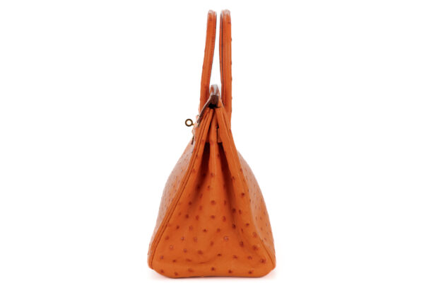 Hermès Birkin 30 Apricot Ostrich Gold Hardware Luxury Shopping
