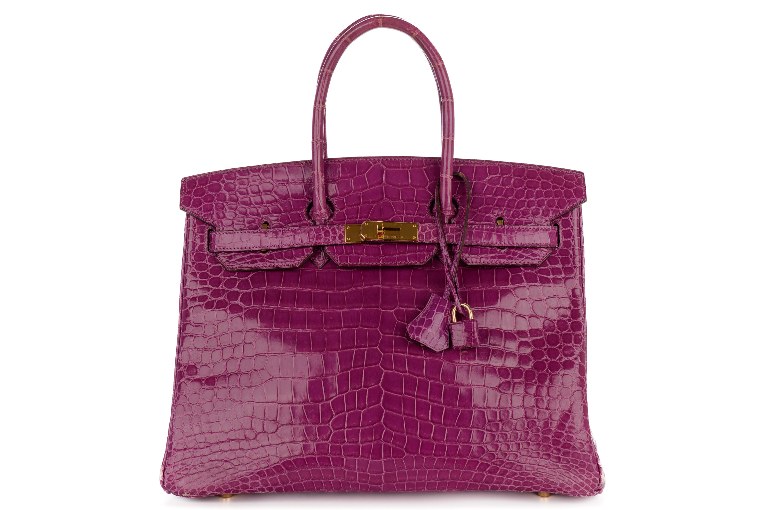 Crocodile birkin sale