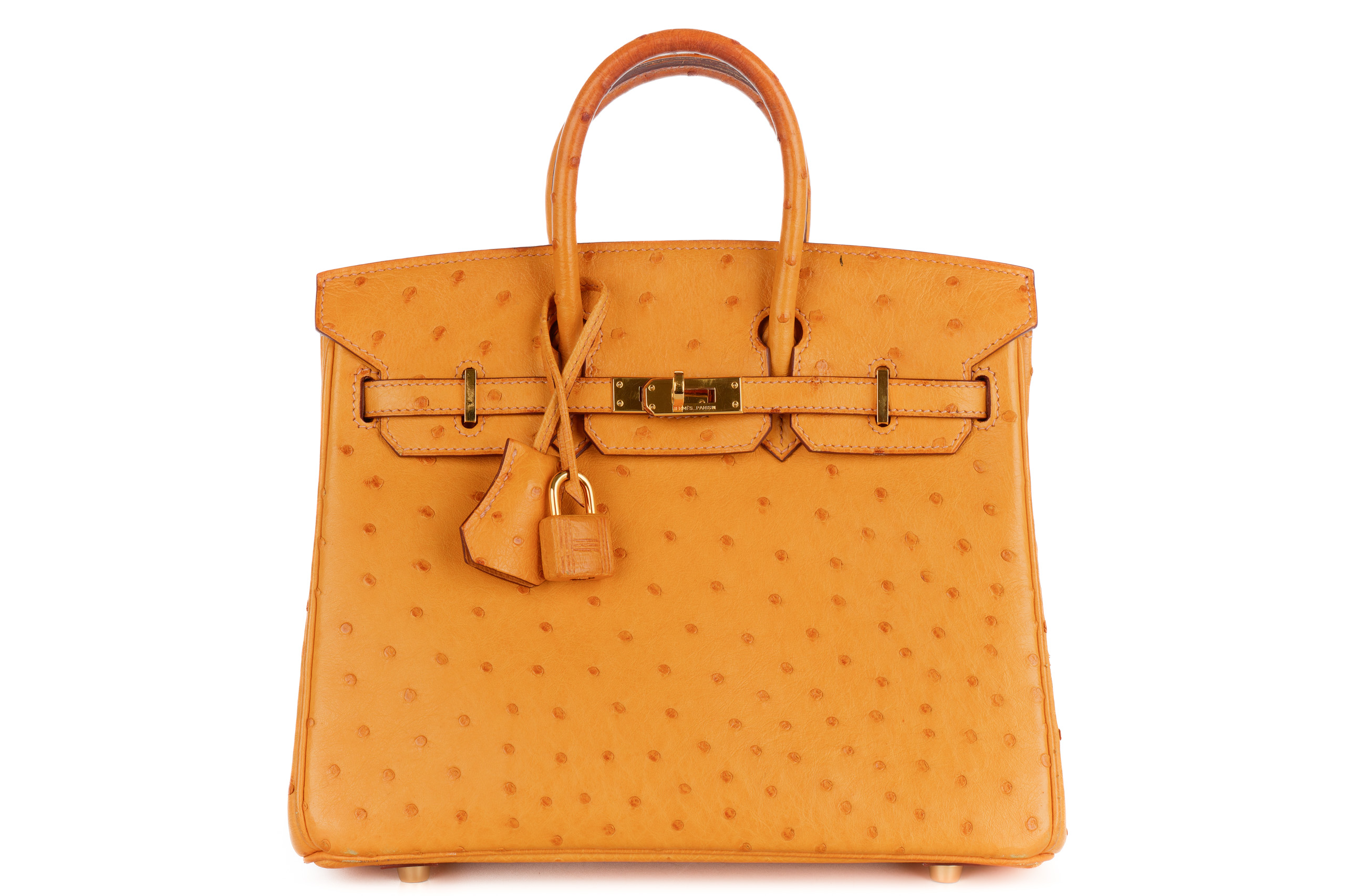 Hermès-Birkin-25-Sesame-Ostrich-Gold-Hardware-2008-1