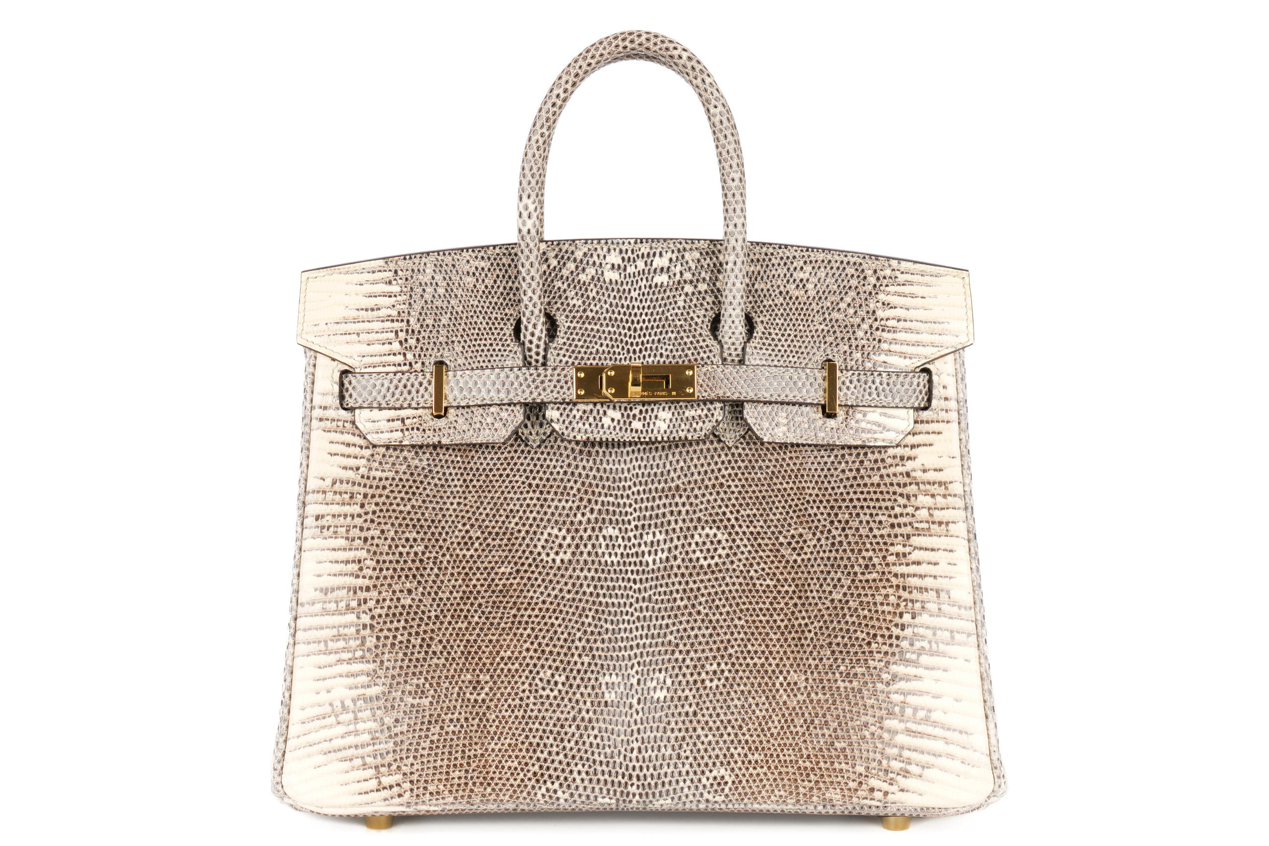 Hermès Birkin 25 Ombre Lizard Gold Hardware Luxury Shopping